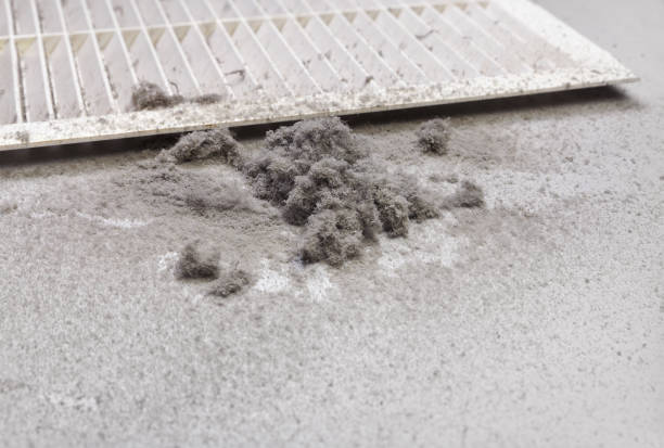 Best HVAC Duct Inspection Services  in Story City, IA
