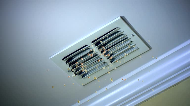 Best Residential Air Duct Cleaning  in Story City, IA