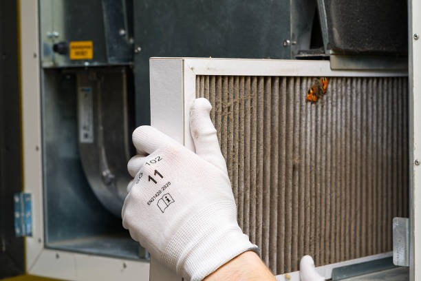 Best Local Air Duct Cleaning Services  in Story City, IA