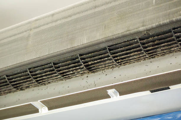 Best Air Duct Cleaning Cost  in Story City, IA