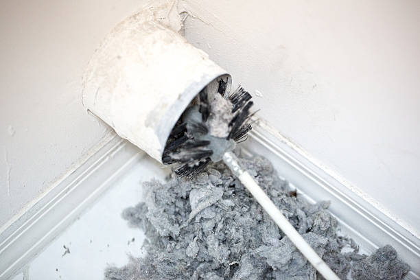 Best Home Air Vent Cleaning  in Story City, IA