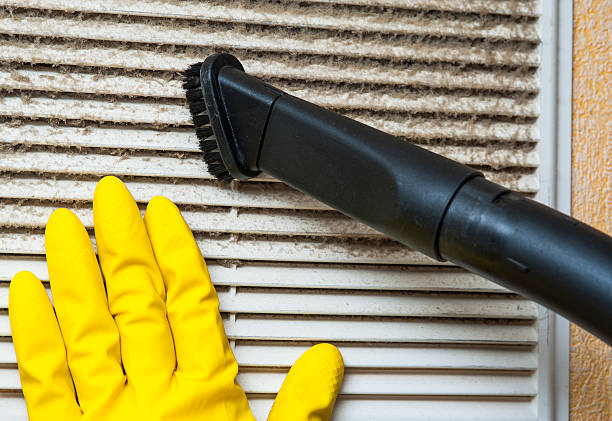 Best Dryer Vent Cleaning Services  in Story City, IA